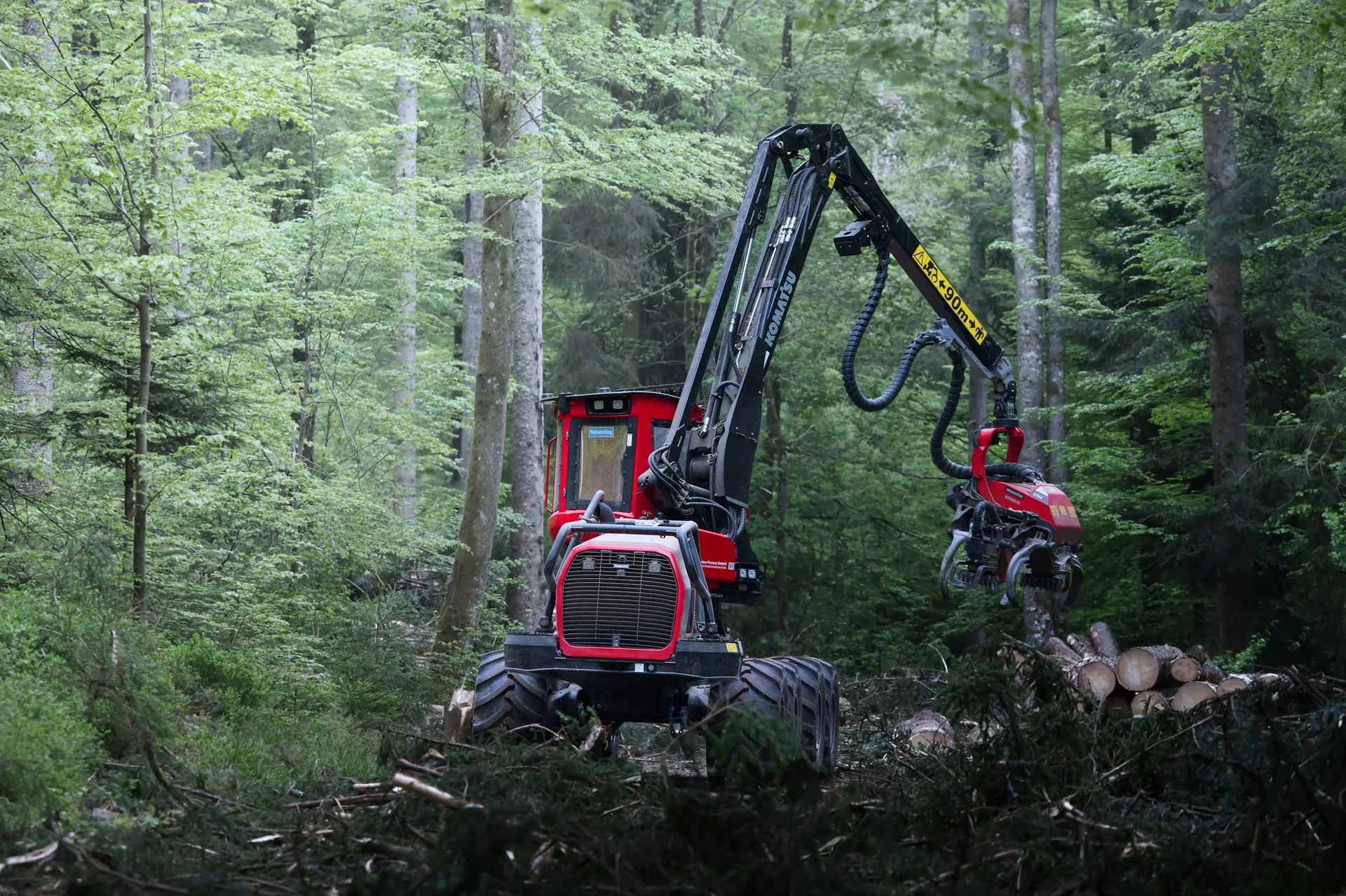 Forestry equipment among standing trees